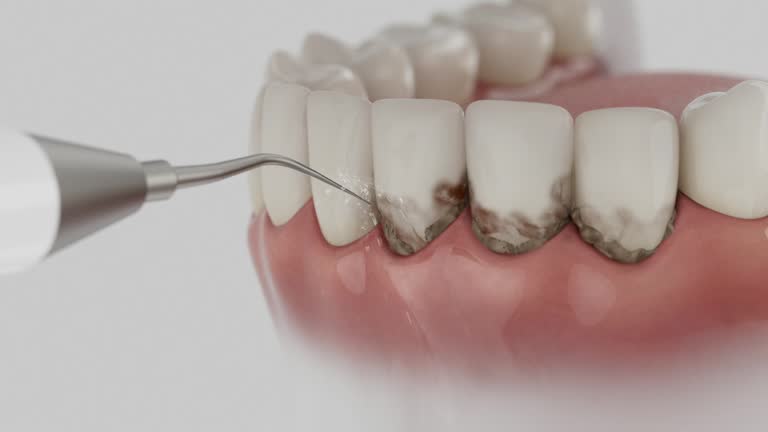 Reliable Dental contractor in Evanston, WY by Dentist Open Now